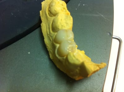 Img 1886 t32l9s - Eugenol