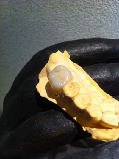 Img 1945 c97kym - Eugenol