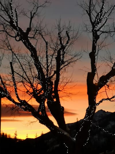 Img 20190212 181313 mvzlaj - Eugenol