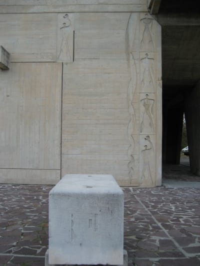 Img 2085 hgixrr - Eugenol