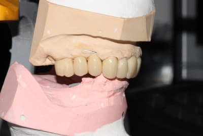 Img 2166 wmenjr - Eugenol