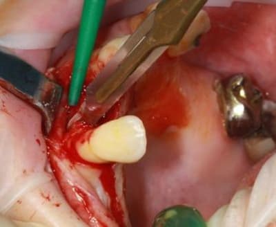 Img 2347 ir19hv - Eugenol