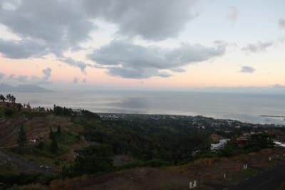 Img 2450 qpiojy - Eugenol