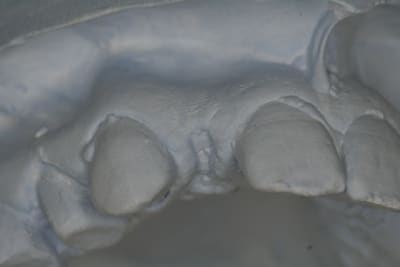 Img 2651 frjqca - Eugenol