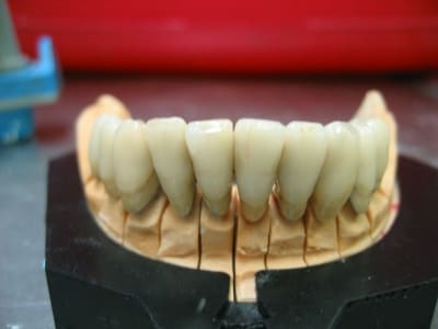 Img 2783  800x600  rhoamt - Eugenol
