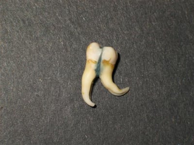 Img 3918  custom   small  ju7x48 - Eugenol
