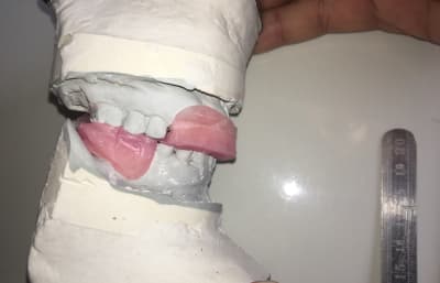 Img 5546 bpv0o6 - Eugenol