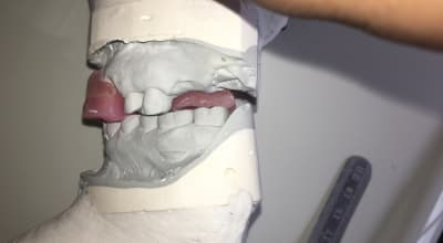 Img 5547 crh45g - Eugenol