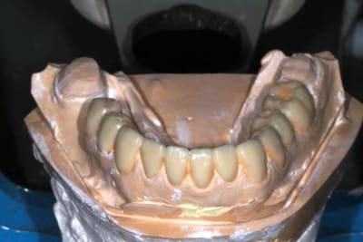 Img 5954 corwbg bev1mw - Eugenol