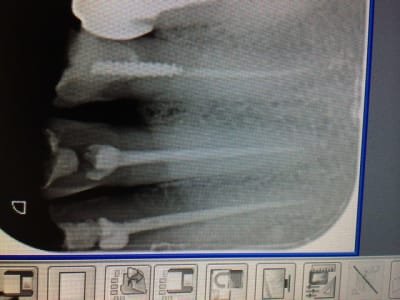 Img 6200 idxnym - Eugenol