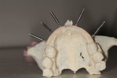 Img 6306 hrxtqo - Eugenol