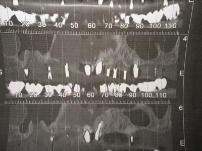 Img 6812 mzfvui - Eugenol