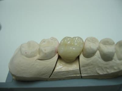 Img 7105  640x480  icvl8k - Eugenol