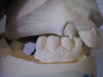 Img 9508 yqg8na - Eugenol