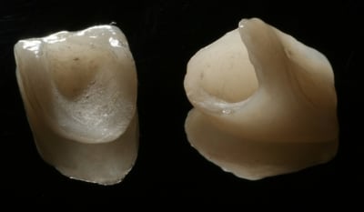 Img 9590 xv8job - Eugenol