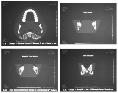 Image 2 amzjwn - Eugenol