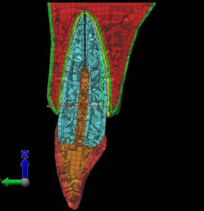Image1 vtye2m - Eugenol