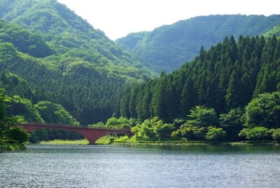 Jb  10  lxeaht - Eugenol