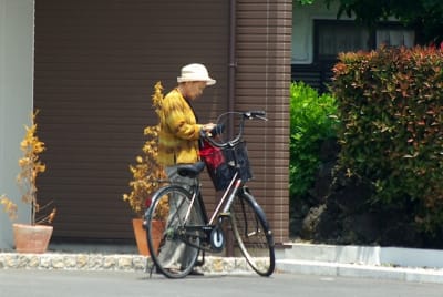 Jn  10  wblsif - Eugenol