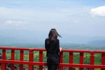 Kn  14  nqsadb - Eugenol