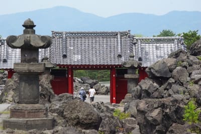 Kn  4  o2ygsa - Eugenol