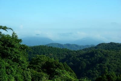 Kn  6  ihlydw - Eugenol