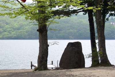 Kw  11  hqvt93 - Eugenol