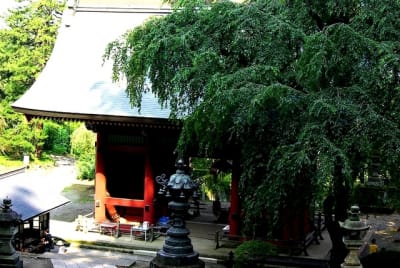 Kw  13  x8qs8w - Eugenol