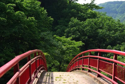 Kw  14  zllhbt - Eugenol