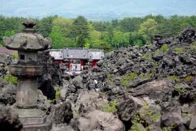 Kw  2  saguym - Eugenol