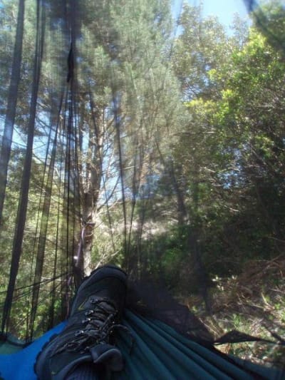 La nature au repos vitxhz - Eugenol