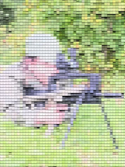 La framb fraggée j98yih - Eugenol