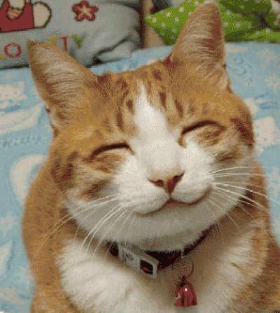 Le chat qui souriait nqq3rr - Eugenol