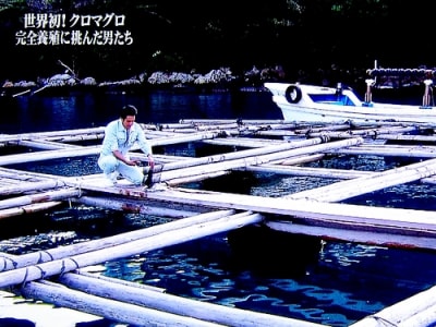 Marugo5 dylgpr - Eugenol