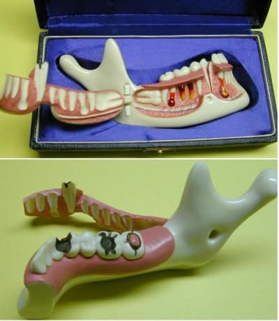 Mandi1 e9fjqa - Eugenol