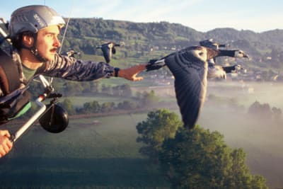 Moullec oies vc0xsw - Eugenol