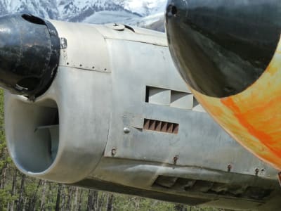 P1010437 sjoy8i - Eugenol