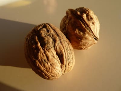 P1010516 fjasbr - Eugenol