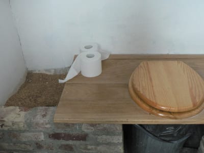 P1010681 b9xcne - Eugenol