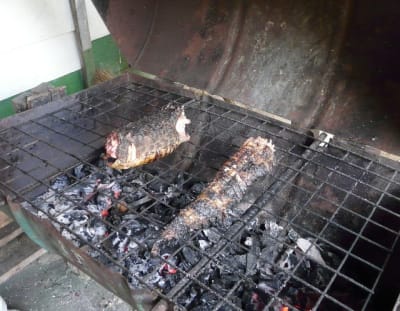 P1050379 afnuws - Eugenol