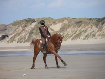 P1120607 bis u5w5ba - Eugenol