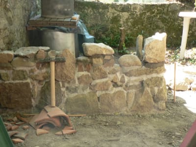 P1140141 ttc6w2 - Eugenol