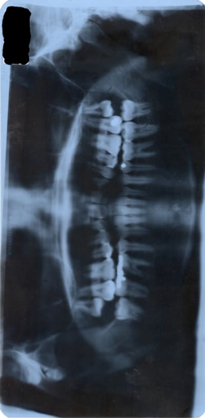 Panoramique1 lbhzmx - Eugenol