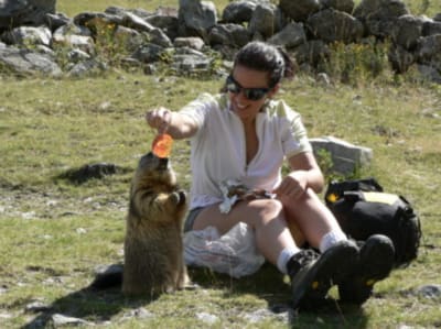 Photo 142 lqw9tv - Eugenol