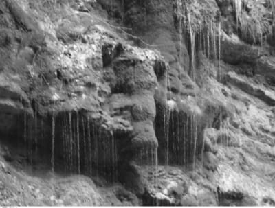 Rando pano2 x4mgps - Eugenol