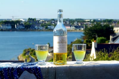 Sau3 tyge8u - Eugenol