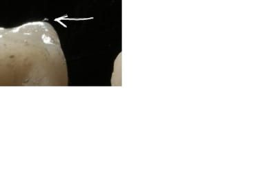 Sans titre bzmbjw - Eugenol