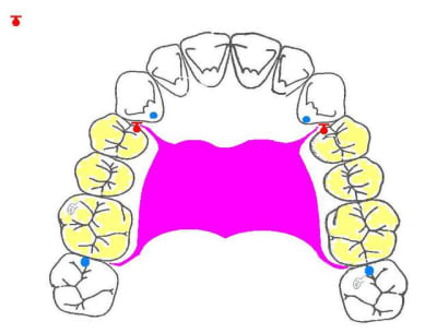 Sans titre nfkw5j - Eugenol