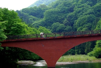 Tk  3  qtenxi - Eugenol