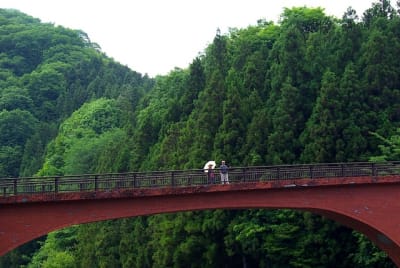 Tk  4  dxtxwr - Eugenol